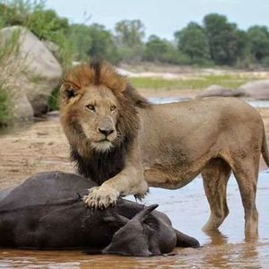 Meet your Posher, Tory